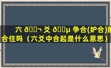 六 🐬 爻 🐵 争合(妒合)能合住吗（六爻中合起是什么意思）